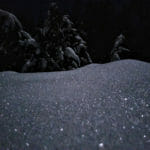 Tahoe Full Moon Snowshoe Tour