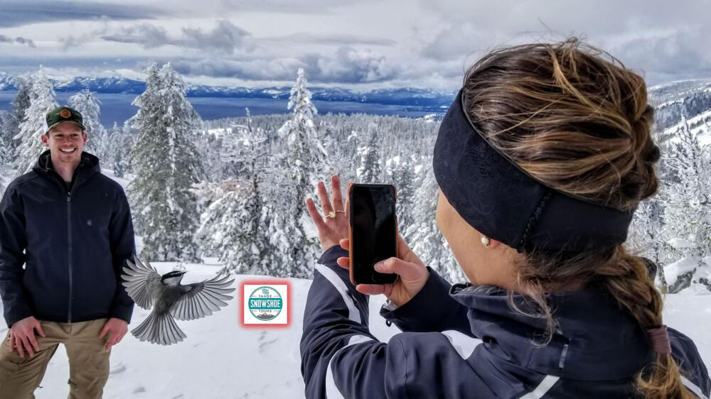Tahoe Snowshoe Tours Engagement Proposal