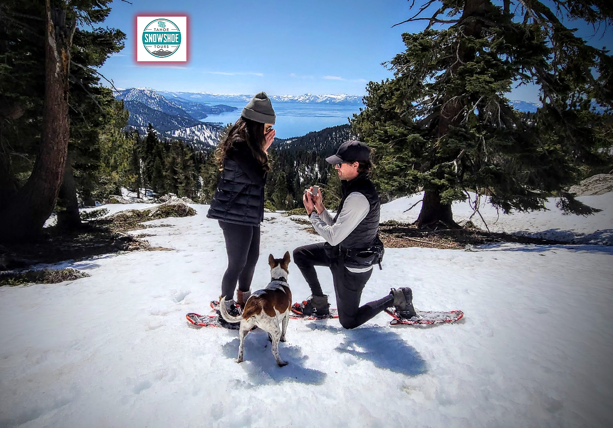 Guided snowshoe tour in Lake Tahoe with a professional naturalist guide and guests walking through an alpine winter forest