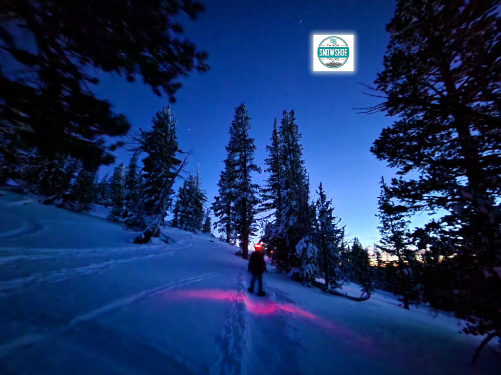 Tahoe Snowshoe Tours Dark Starry Sky Experiences