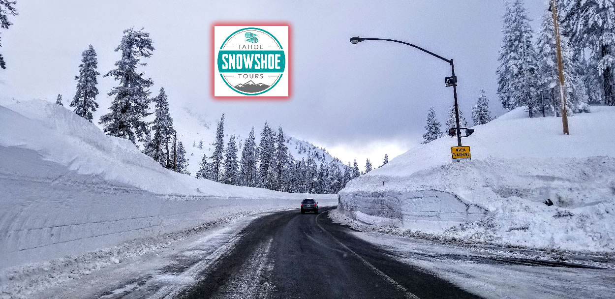 Snowy road with trees and signage