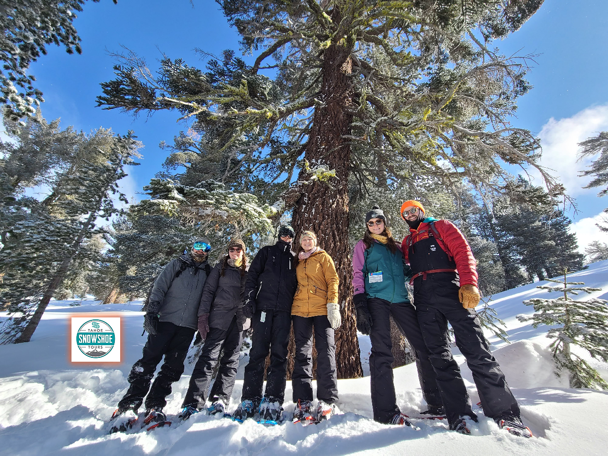 Winter walking guided nature tour in Lake Tahoe with a small group snowshoeing under blue sky during mild winter conditions