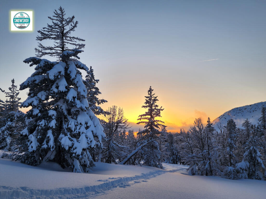 Tahoe Snowshoe Tours Photography Experiences