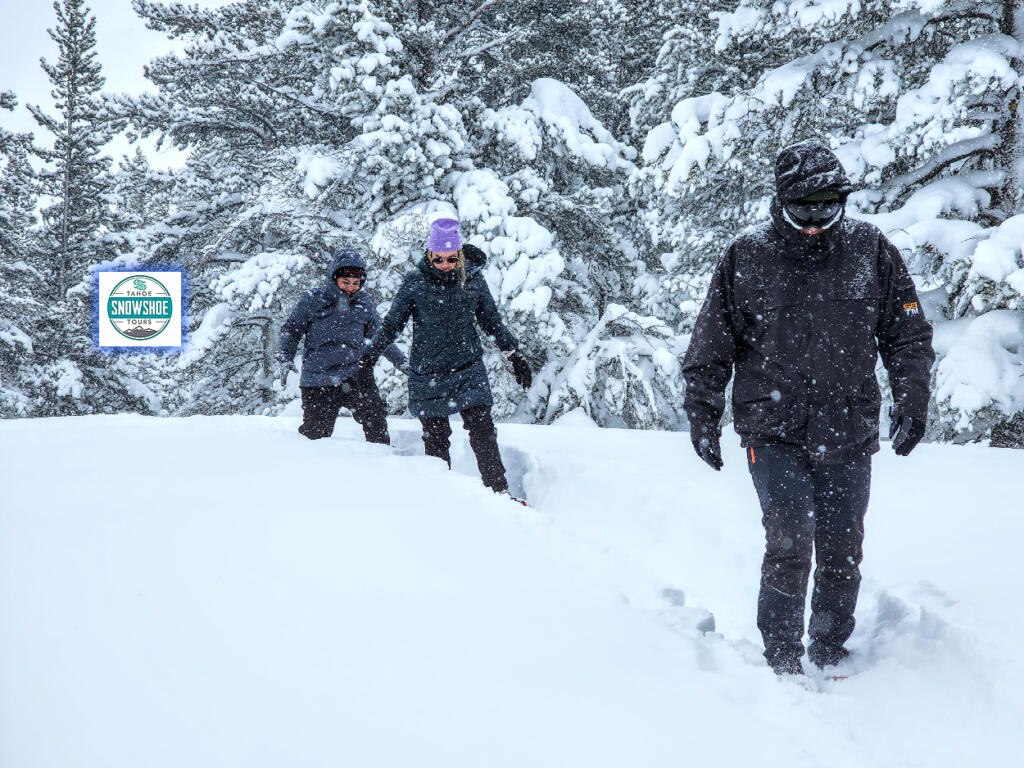 Tahoe Snowshoe Tours Current Snow Report